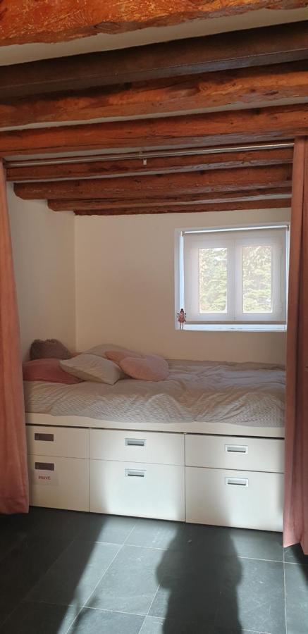 Studio Montagne Cerdagne A Saillagouse Zewnętrze zdjęcie