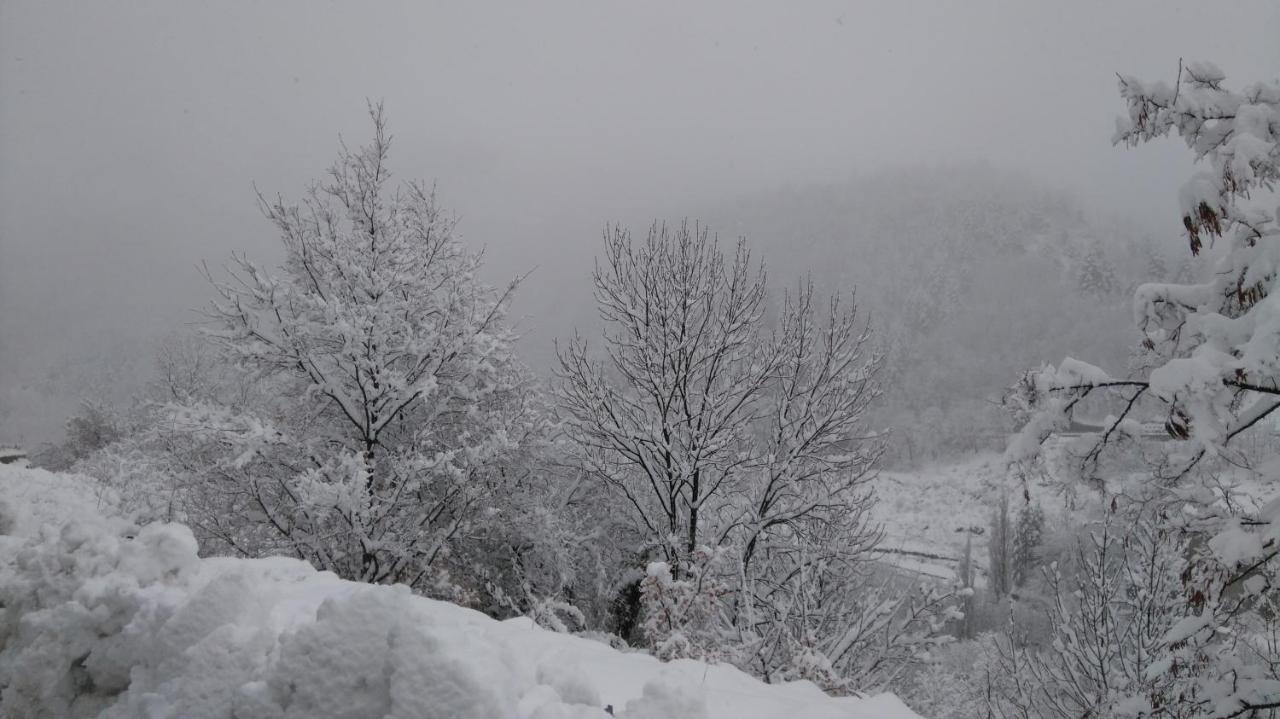Studio Montagne Cerdagne A Saillagouse Zewnętrze zdjęcie