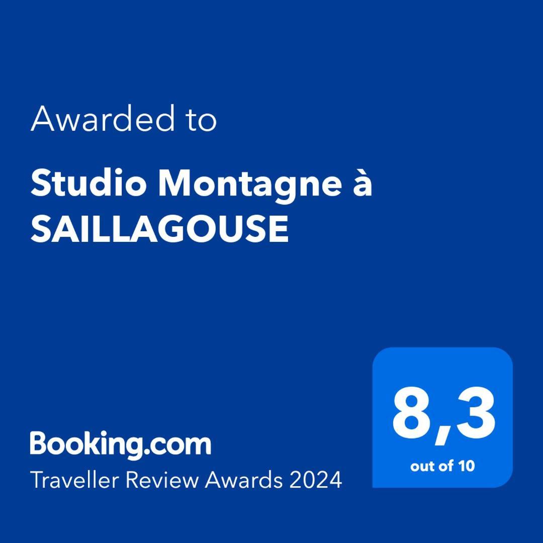 Studio Montagne Cerdagne A Saillagouse Zewnętrze zdjęcie